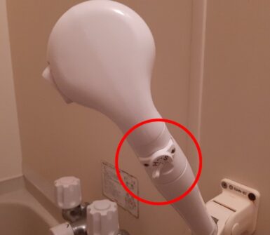 adjustable shower head