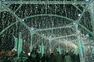 Festival Musim Dingin White Illumination 3