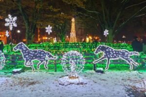 Festival Musim Dingin White Illumination 5