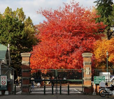 Hokkaido University Accommodation