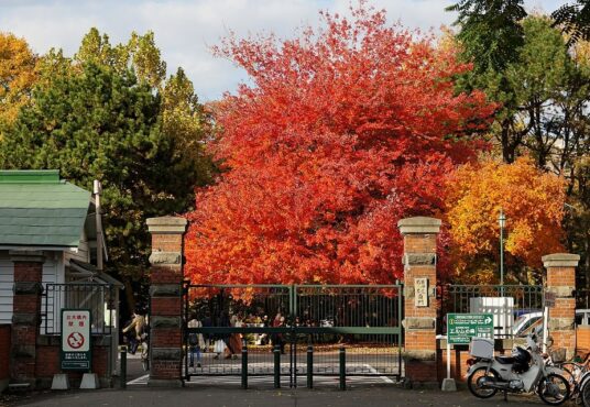北海道大学学生宿舍：评论和搬出去宿舍