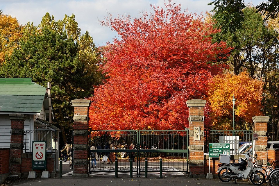 Hokkaido University Accommodation