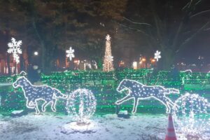 Sapporo White Illumination 9