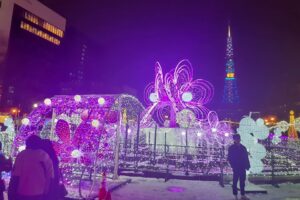 Sapporo White Illumination 14