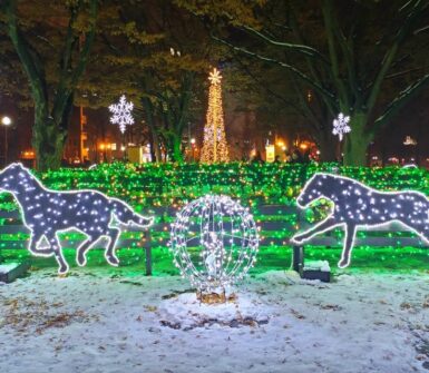 Sapporo White Illumination 8