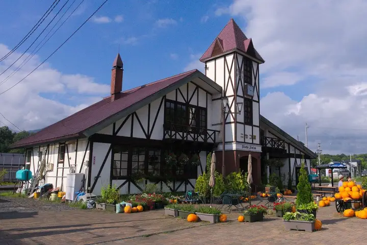 buy house and hotel lodge in niseko